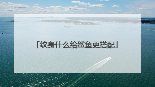 纹身什么给鲨鱼更搭配