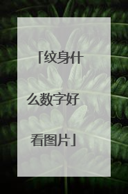 纹身什么数字好看图片