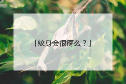 纹身会很疼么？