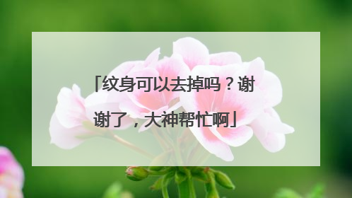 纹身可以去掉吗?谢谢了,大神帮忙啊