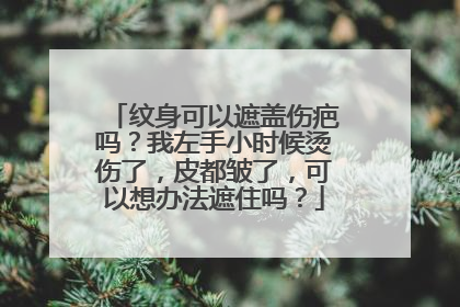纹身可以遮盖伤疤吗？我左手小时候烫伤了，皮都皱了，可以想办法遮住吗？