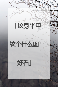 纹身半甲纹个什么图好看