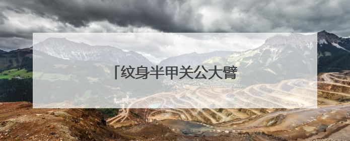 纹身半甲关公大臂佛小臂悟空图片