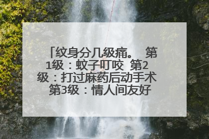 纹身分几级痛。 第1级：蚊子叮咬 第2级：打过麻药后动手术 第3级：情人间友好的打情骂俏