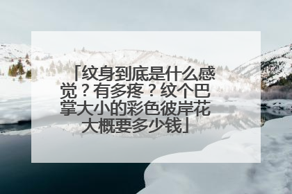 纹身到底是什么感觉？有多疼？纹个巴掌大小的彩色彼岸花大概要多少钱