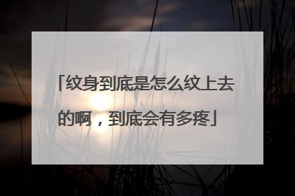 纹身到底是怎么纹上去的啊,到底会有多疼