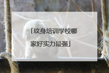 纹身培训学校哪家好实力最强