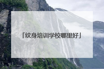 纹身培训学校哪里好