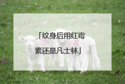 纹身后用红霉素还是凡士林