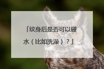 纹身后是否可以碰水（比如洗澡）？