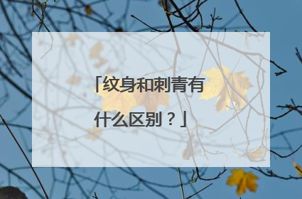 纹身和刺青有什么区别？