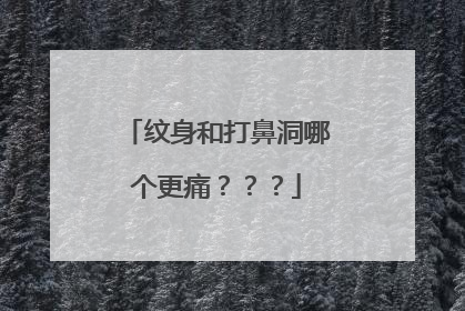纹身和打鼻洞哪个更痛？？？