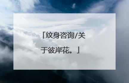 纹身咨询/关于彼岸花。