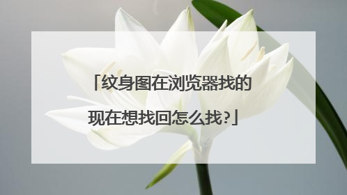纹身图在浏览器找的现在想找回怎么找?
