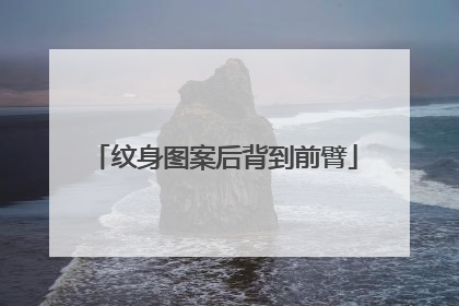 纹身图案后背到前臂