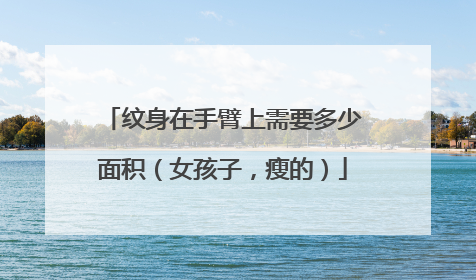 纹身在手臂上需要多少面积(女孩子,瘦的)