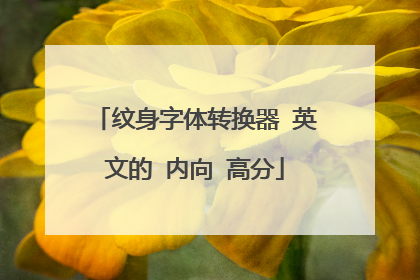 纹身字体转换器 英文的 内向 高分