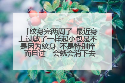 纹身完两周了 最近身上过敏了一样起小包是不是因为纹身 不是特别痒 而且过一会就会消下去【照片可能看