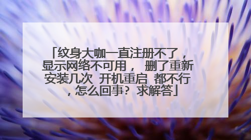 纹身大咖一直注册不了， 显示网络不可用， 删了重新安装几次 开机重启 都不行，怎么回事? 求解答