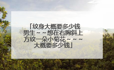 纹身大概要多少钱 男生～～想在右胸斜上方纹一朵小菊花～～～大概要多少钱