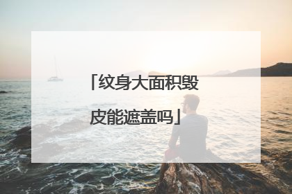 纹身大面积毁皮能遮盖吗