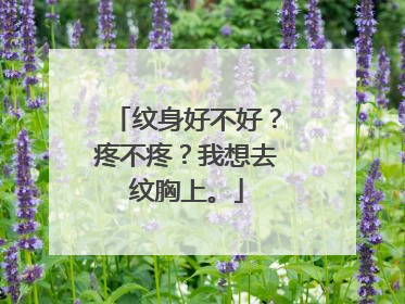 纹身好不好？疼不疼？我想去纹胸上。