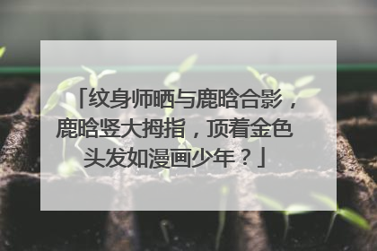 纹身师晒与鹿晗合影，鹿晗竖大拇指，顶着金色头发如漫画少年？