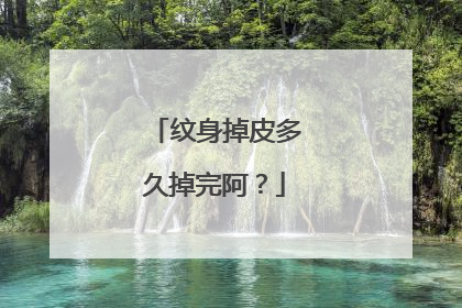 纹身掉皮多久掉完阿？