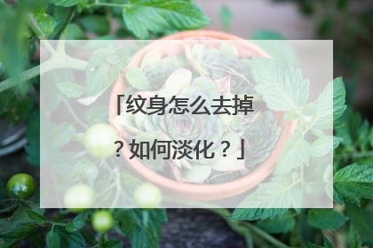 纹身怎么去掉？如何淡化？