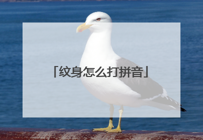 纹身怎么打拼音
