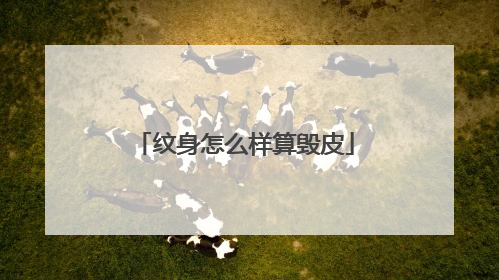 纹身怎么样算毁皮