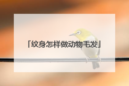 纹身怎样做动物毛发