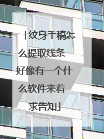 纹身手稿怎么提取线条 好像有一个什么软件来着 求告知