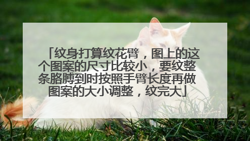 纹身打算纹花臂，图上的这个图案的尺寸比较小，要纹整条胳膊到时按照手臂长度再做图案的大小调整，纹完大