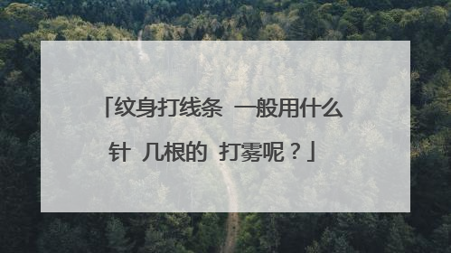 纹身打线条 一般用什么针 几根的 打雾呢?