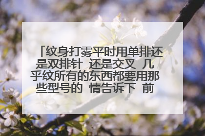 纹身打雾平时用单排还是双排针 还是交叉 几乎纹所有的东西都要用那些型号的 情告诉下 前辈们 太喜欢这 了