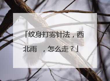纹身打雾针法,西北雨 ,怎么走?