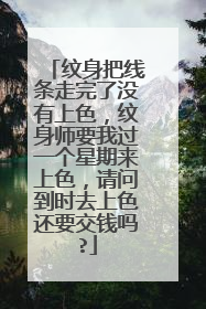 纹身把线条走完了没有上色,纹身师要我过一个星期来上色,请问到时去上色还要交钱吗?