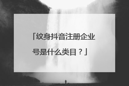 纹身抖音注册企业号是什么类目？