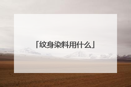 纹身染料用什么