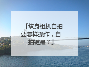 纹身柤机自拍要怎样操作,自拍键是?