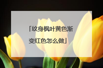 纹身枫叶黄色渐变红色怎么做