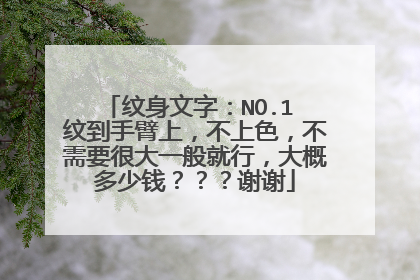 纹身文字：NO.1 纹到手臂上，不上色，不需要很大一般就行，大概多少钱？？？谢谢