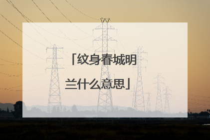 纹身春城明兰什么意思