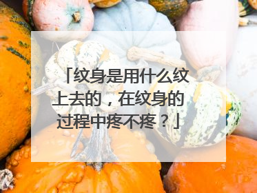 纹身是用什么纹上去的，在纹身的过程中疼不疼？