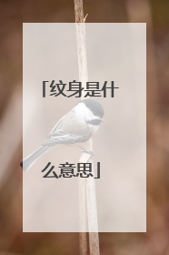 纹身是什么意思