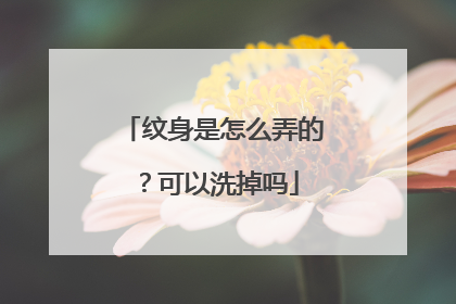 纹身是怎么弄的？可以洗掉吗