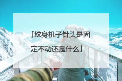 纹身机子针头是固定不动还是什么