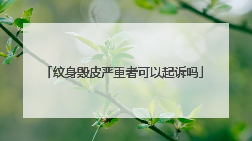 纹身毁皮严重者可以起诉吗