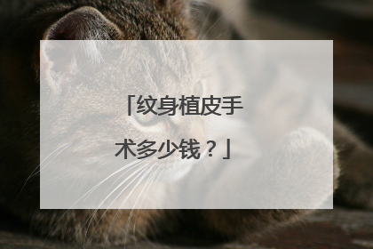 纹身植皮手术多少钱？